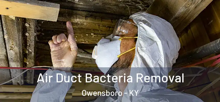 Air Duct Bacteria Removal Owensboro - KY
