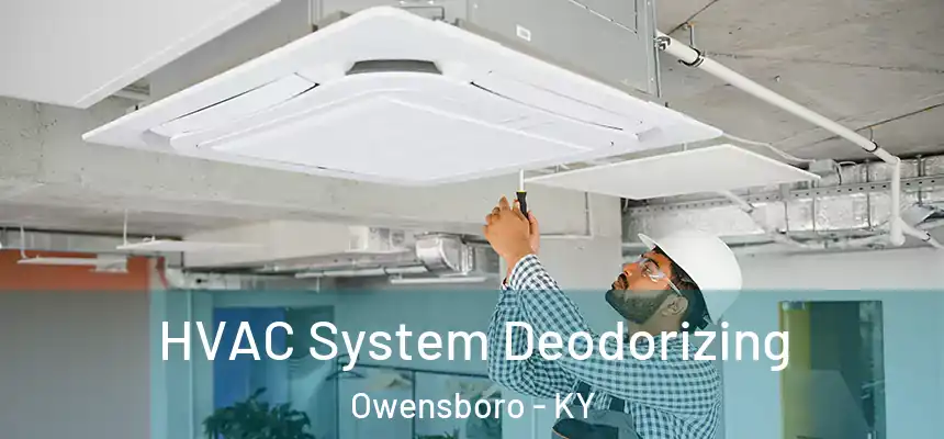 HVAC System Deodorizing Owensboro - KY
