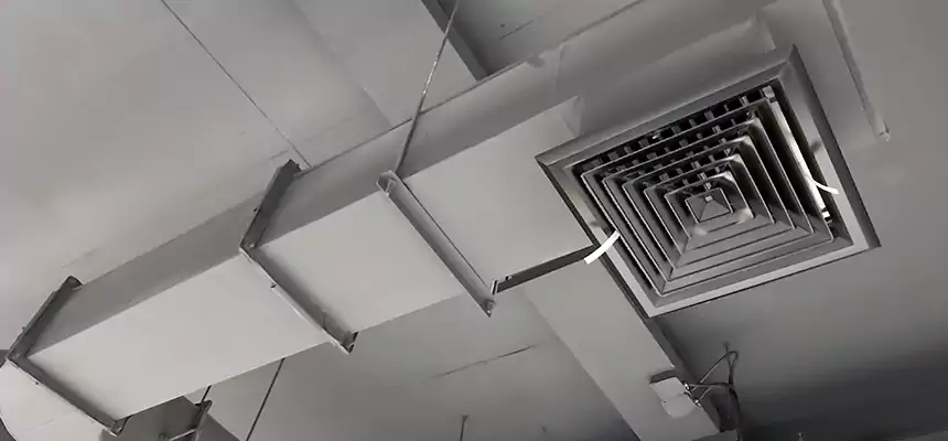 Our Pest Removal From Ducts Services in Owensboro, KY