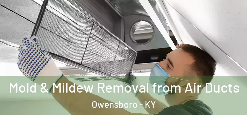 Mold & Mildew Removal from Air Ducts Owensboro - KY