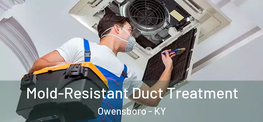  Mold-Resistant Duct Treatment Owensboro - KY