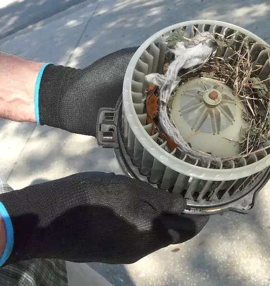 About Air Duct Mice Removal in Owensboro, KY