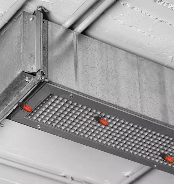 Affordable Insect Removal from Air Ducts in Owensboro, KY